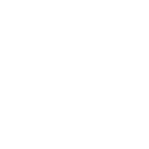 pablonez_logo_white_4k